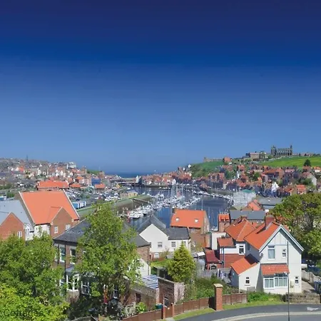Campion, Whitehall * Whitby
